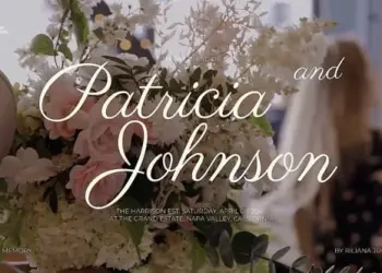 Videohive Storytelling Wedding Cinematic Title Pack 65596358