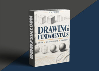 xyphid - Drawing Fundamentals: Form, Perspective & Gesture (7 Lessons + Worksheets)